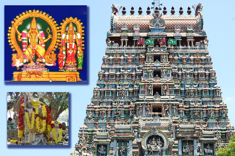 அமிர்தகடமாய் மாறிய திருநீலகண்டர்!
